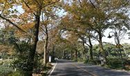 2022年上半年长沙学院继续教育学院学位英语考试打印准考证通知