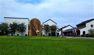 中国大学生,你为什么要选择出国留学?
